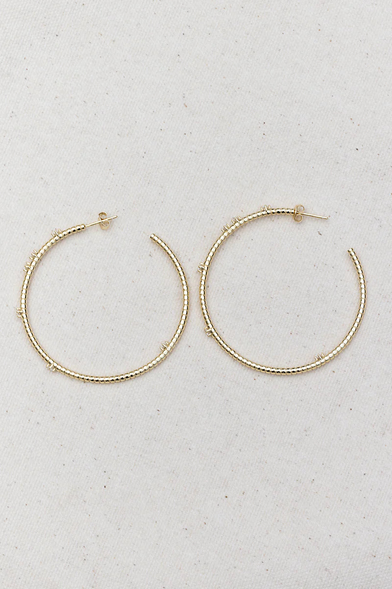 Salt Hoops