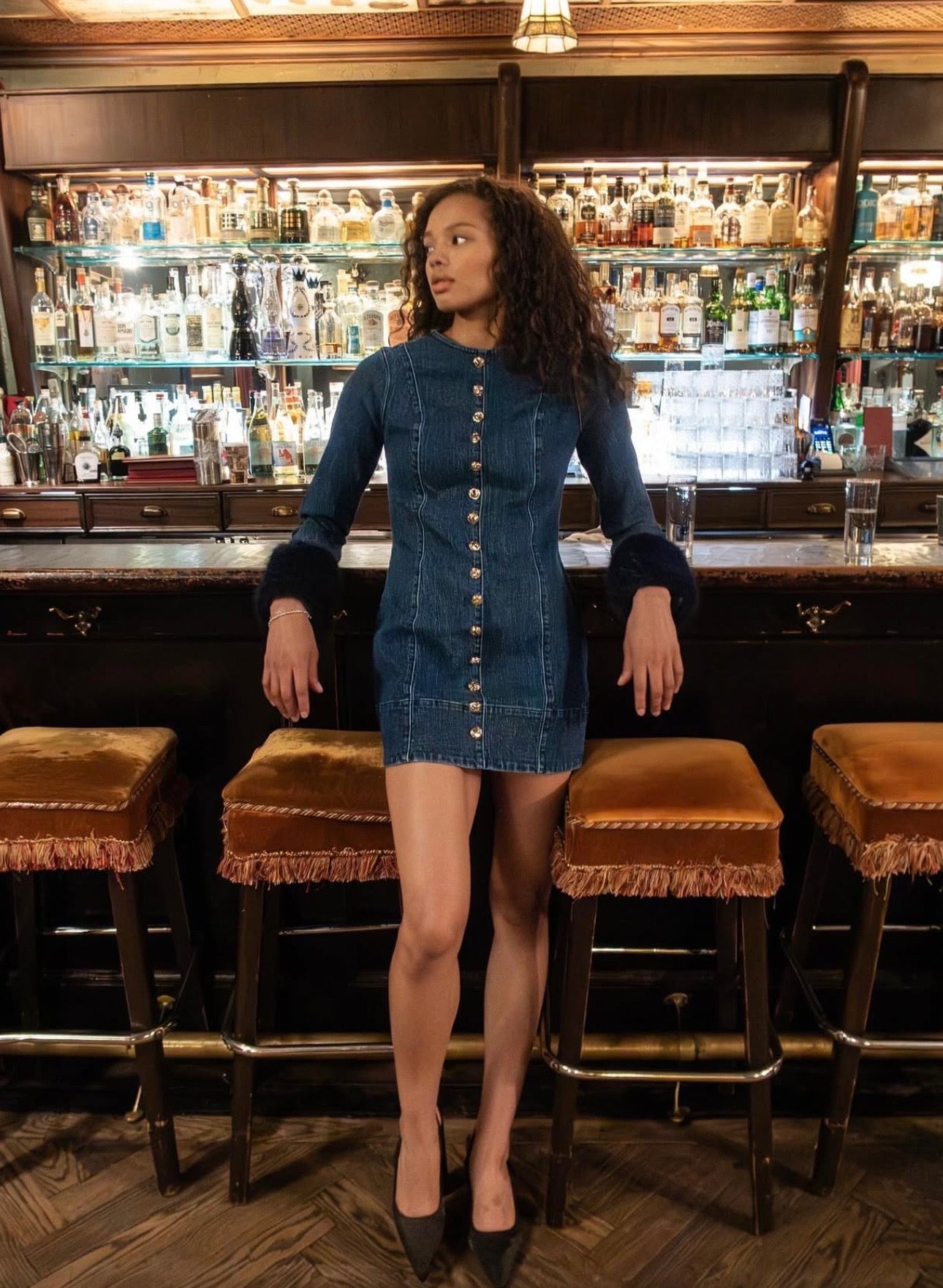 Rockefeller Denim Mini Dress