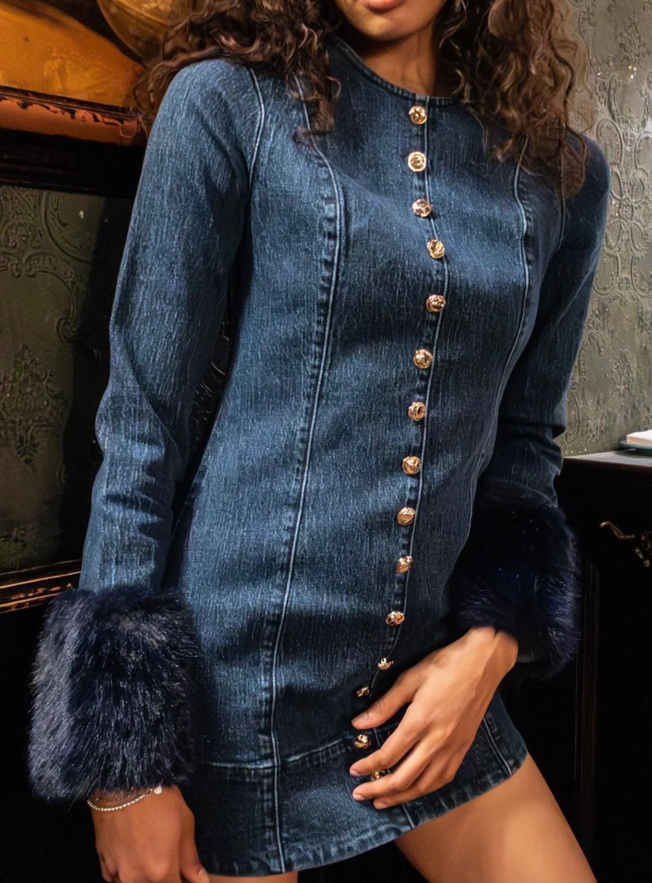 Rockefeller Denim Mini Dress