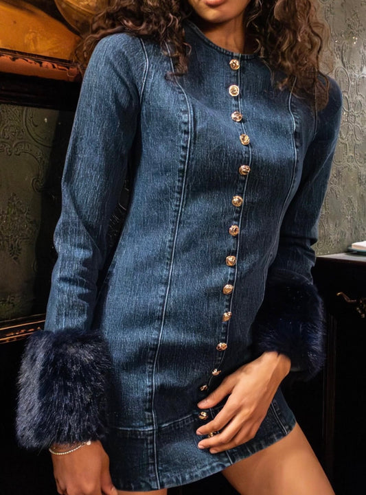 Rockefeller Denim Mini Dress