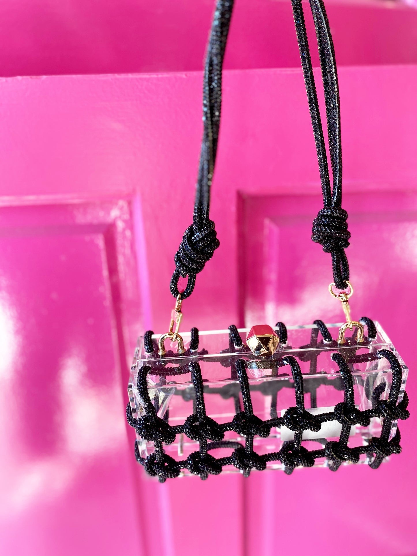 Caged Lucite Bag
