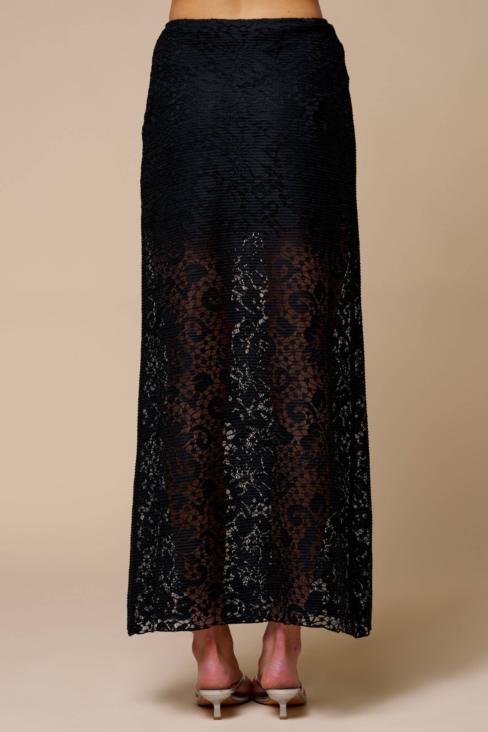 Sheer Lace Maxi Skirt