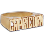 Nameplate Statement Ring - Polkadots & Moonbeams LAPolkadots & MoonbeamsLOS ANGELES6Nameplate Statement Ring