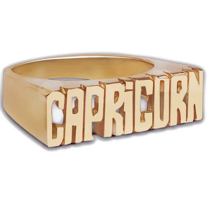 Nameplate Statement Ring - Polkadots & Moonbeams LAPolkadots & MoonbeamsLOS ANGELES6Nameplate Statement Ring
