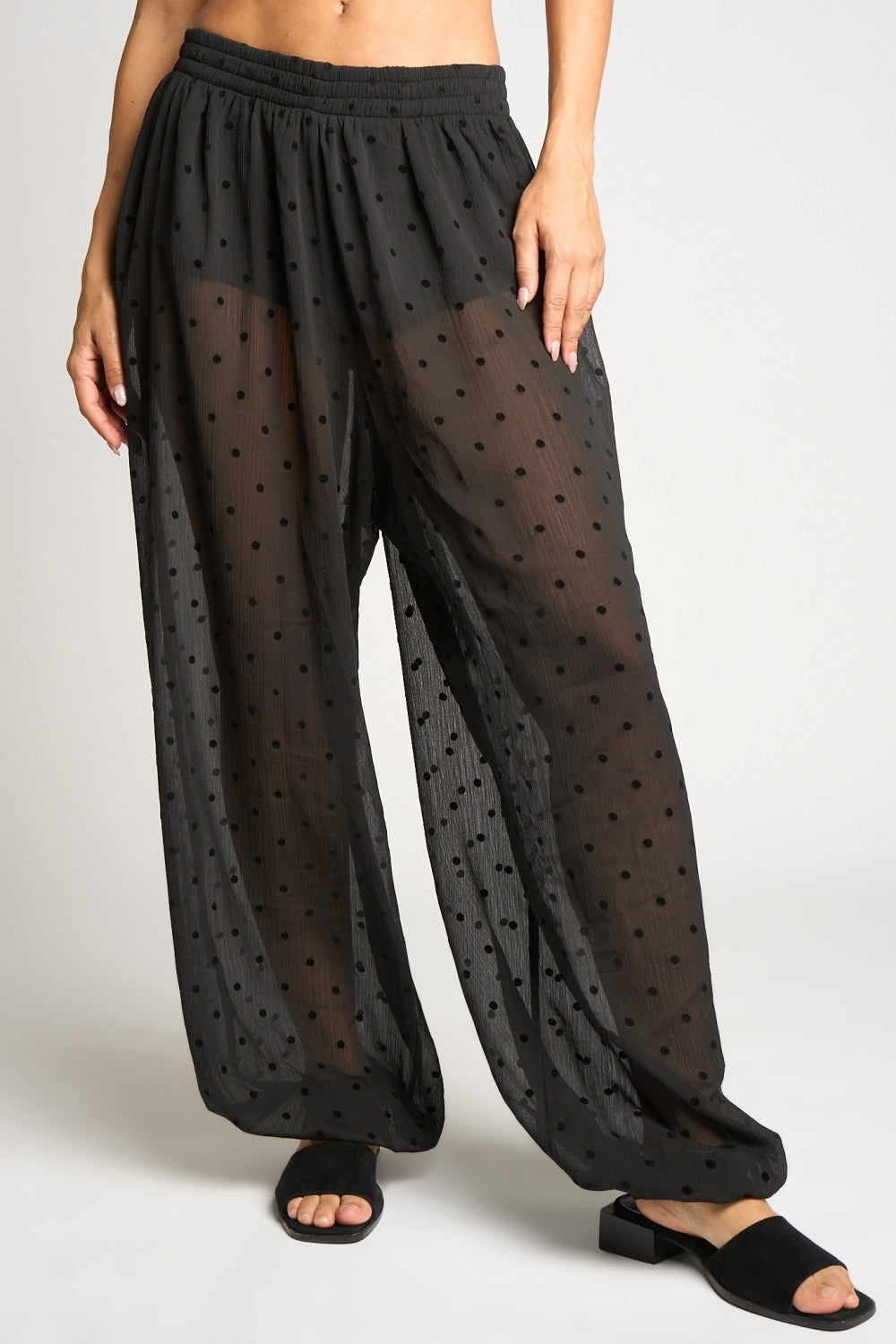 Sheer Polkadots Harem Pants
