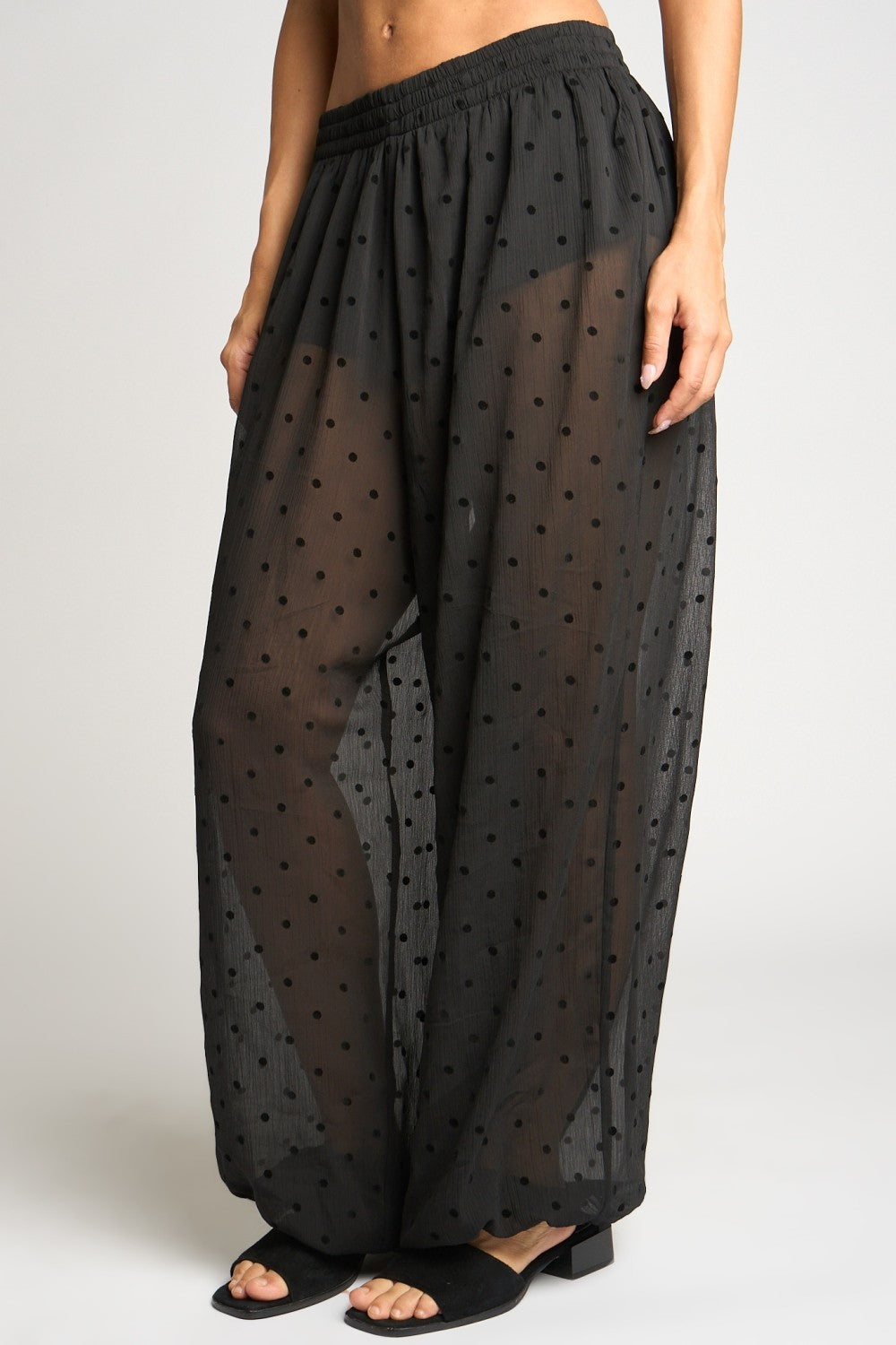 Sheer Polkadots Harem Pants