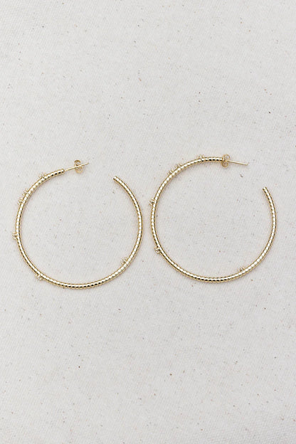 Salt Hoops