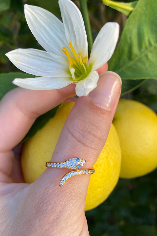 Snake Charmer Ring