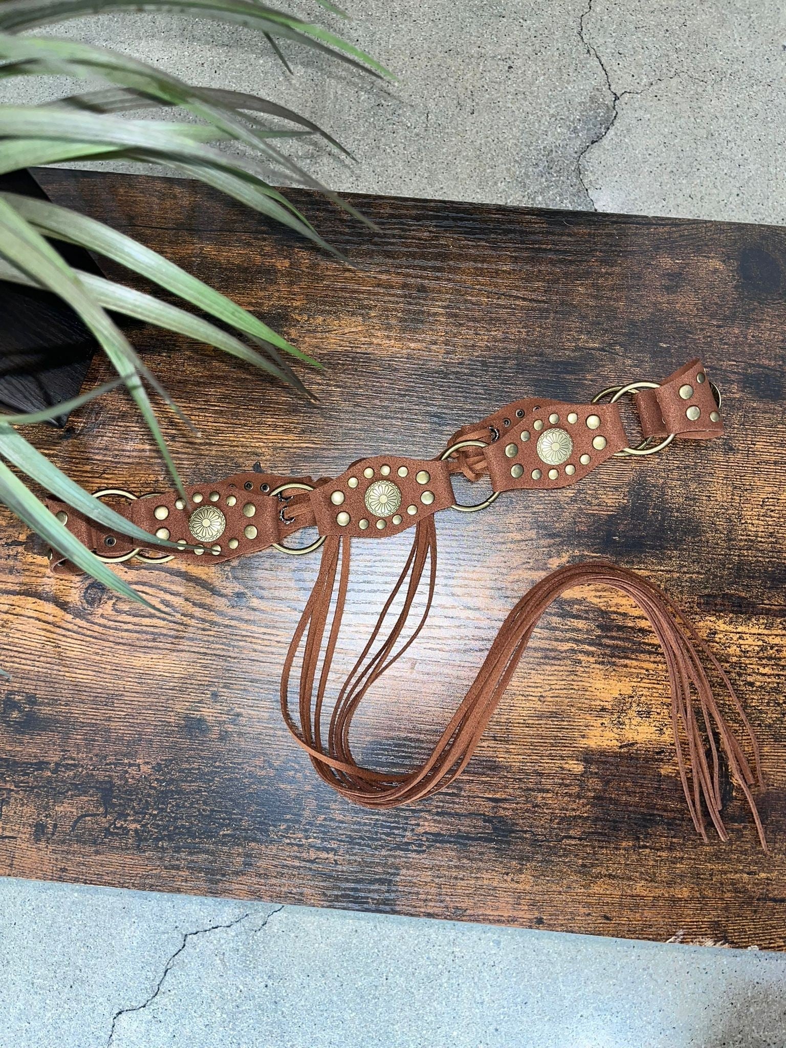 Studded Western Belt - Polkadots & Moonbeams LAPolkadots & MoonbeamsBrownStudded Western Belt
