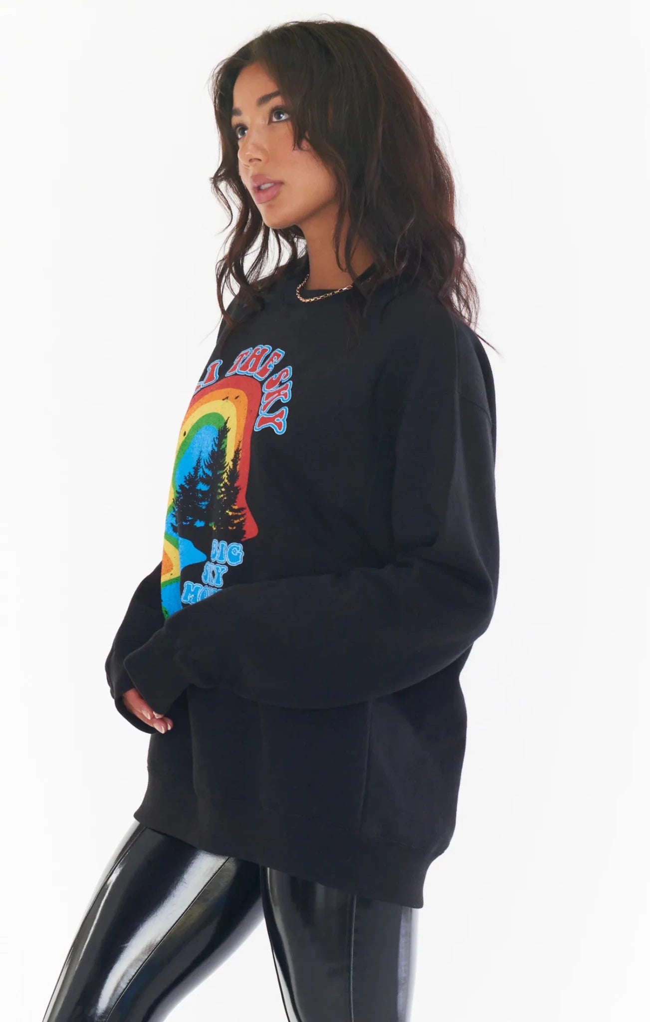 Ski the Sky Stanley Sweatshirt - Polkadots & Moonbeams LAShow Me Your MumuXSBLACKSki the Sky Stanley Sweatshirt